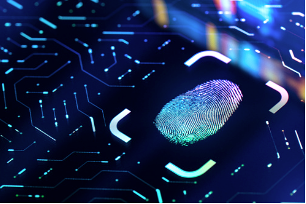 Your Gateway to Access: Exploring the Versatility of VIZiD Biometric Locks